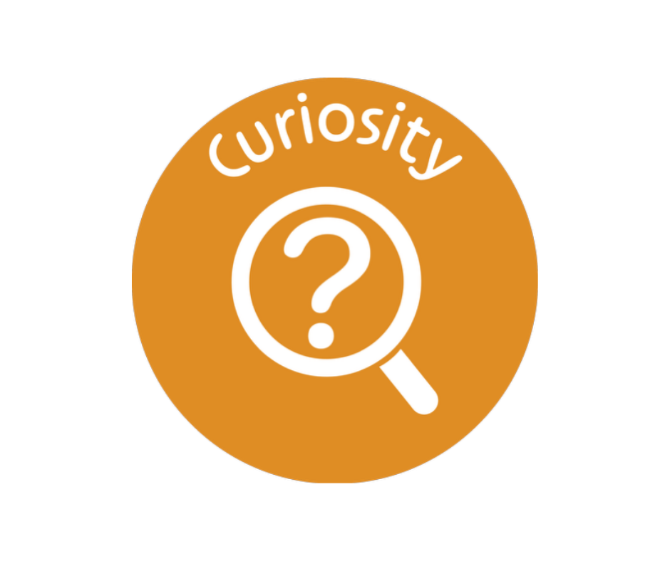 Curiosity T